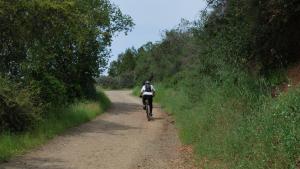 Cyclist at St. Joseph's Hill Preserve / staff photo