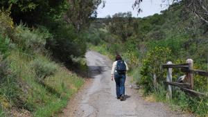 Photo by Midpen staff Hiker at St. Joseph's Hill Preserve / staff photo