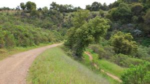 Photo by Midpen staff St. Joseph's Hill Preserve / staff photo
