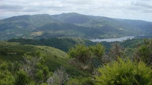 View of Sierra Azul Preserve and Lexington Reservoir from El Sereno Preserve/ photo by Amanda Mills