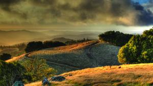 Autumn view of Long Ridge Preserve