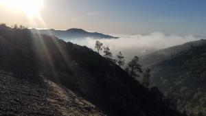 Sierra Azul Preserve / photo by Wayne Marquard