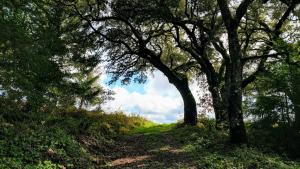 Long Ridge Trail