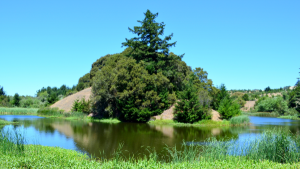 Horseshoe Lake at Skyline Ridge Preserve