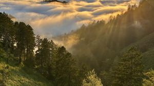 Textured marine layer sunset