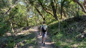 (Frances Freyberg) Hiker walks along trail