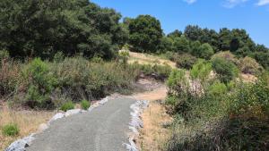 Raised trail