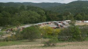 Bear Creek Stables