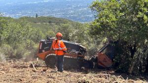 Man uses remote controlled machine to conduct ecologically sensitive vegetation removal