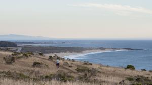 Runner on Wilbur's Watch Trail in Cloverdale Ranch Preserve by Teddy Miller. 