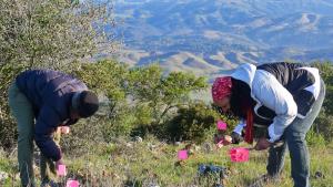 Two members of Creekside Science work on a grassland survey