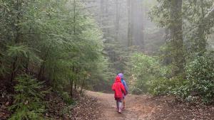 Children hiking foggy trail / photo by David Anses