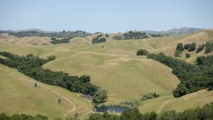 Green hills at Fremont Older