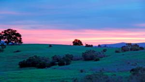 Picture of sunrise over grasslands at Foothills OSP / photo by Sharon Humphreys