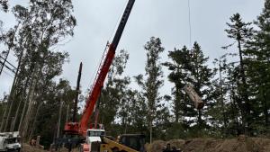 A crane and excavator being used to remove eucalyptus trees along Highway 84