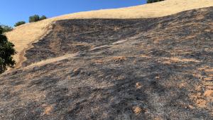 Monte Bello fire aftermath fuel break