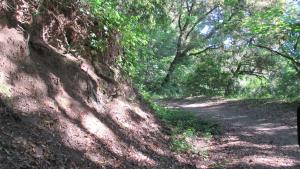 Alpine Road trail