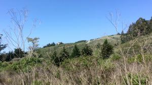 Johnston Ranch property, Half Moon Bay. (Midpen)