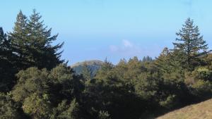Hills and trees in La Honda Open Space Preserve
