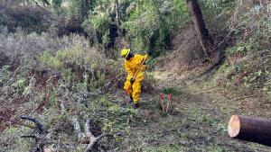 SFCC member at wildland fire resiliency project at La Honda Creek Open Space Preserve