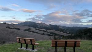 Two benches look out over a vista