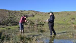Midpen staff surveying a pond in La Honda Creek Preserve