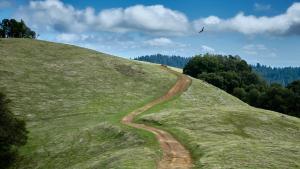 trail