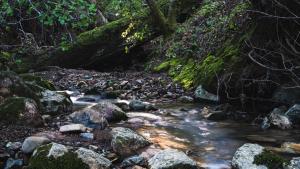 A creek with boulders.