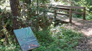 Image of an interpretive sign about newts along the Stevens Creek Nature Trail in Monte Bello Open Space Preserve. 