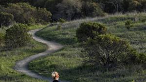 woman running up trail Monte Bello