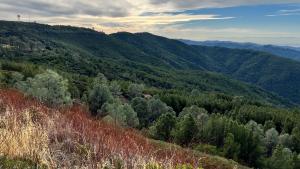Panorama of Sierra Azul Open Space Preserve hills
