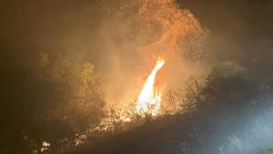 Monte Bello fire