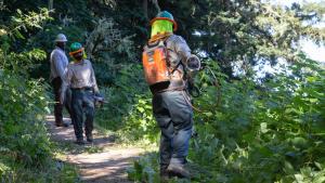 San Jose Conservation Corps work crews clear a trail / photo by Mike Kahn