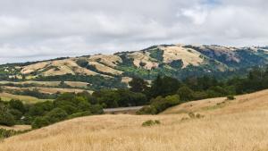 Monte Bello Ridge viewed from Russian Ridge