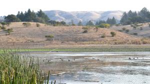 Mindego Lake 