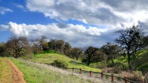 Rancho trail, fences, and trees