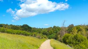 Easy-access path at Rancho San Antonio preserve (Mark Hehir)
