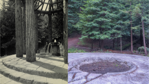 Closeup of remnant of circular stone base of redwood temple