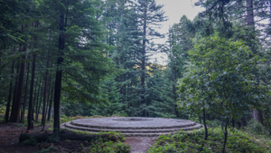 Remnants of the circular stone base of redwood temple from August Schilling's estate