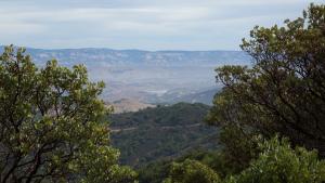 Landscape of Sierra Azul Open Space Preserve. 