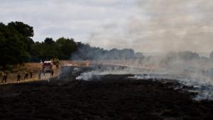 (Michael Gorman/Midpen) Staff on-site of the prescribed burn at Sierra Azul Preserve