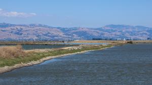 Stevens Creek Shoreline waters