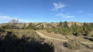 A photo of the site of the upcoming Skyline Field Office