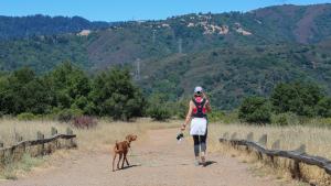 A woman walks her dog atop St. Joseph's Hill