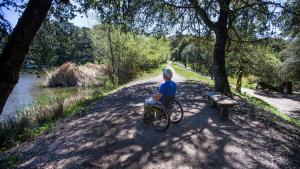 a man in a wheelchair on a trail next to a pond