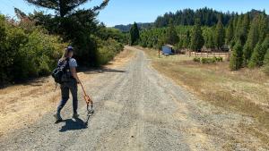 a person walking along a trail with a measuring wheel