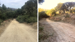 Before and after photos of fuel break work at Saratoga Gap