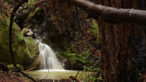 waterfall in Thornewood
