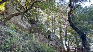 Coho Vista Trail Coho Vista Trail