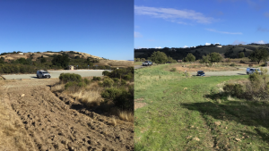 Before and After at Monte Bello